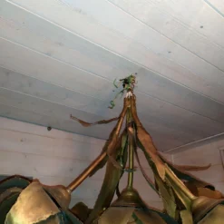 1930's Large French Art Deco Bronze Brutalist Floral Chandelier Attrib. Maison Jansen -chairish shop 1930s large french art deco bronze brutalist floral chandelier attrib maison jansen 5704