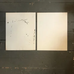 1980’s 2 Original Abstract Paintings Black & White Signed Licht- A Pair -chairish shop 1980s 2 original abstract paintings black and white signed licht a pair 3866