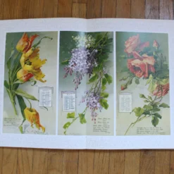 1980's Belvedere Italian Graphic Art Design Coffee Table Decorative Books - Set Of 8 -chairish shop 1980s belvedere italian graphic art design coffee table decorative books set of 8 2178