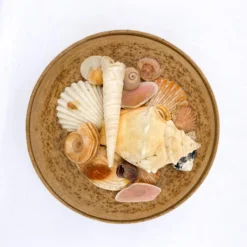 1980's Organic Modern Signed Stoneware Dish With Sea Shells On Lid -chairish shop 1980s organic modern signed stoneware dish with sea shells on lid 1570