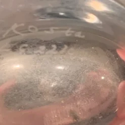 Pair Of Vintage 1960's Kosta Boda Swedish Etched Crystal Vases -chairish shop pair of vintage 1960s kosta boda swedish etched crystal vases 3461