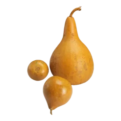 Vintage 1980's Mixed Shape Natural Gourds Set Of 3